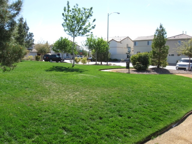 Photo - 10614 Corte Sierra St