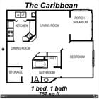 The Caribbean 1x1