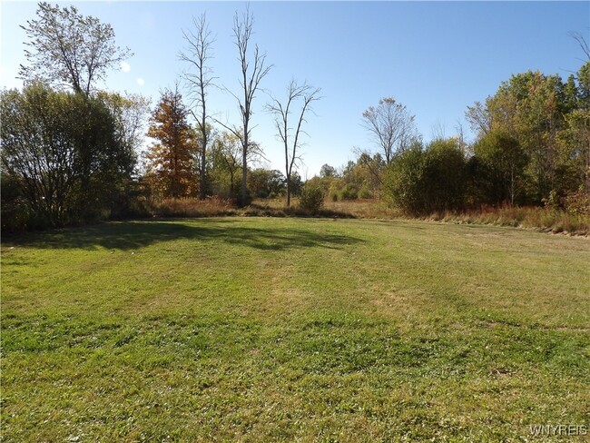 Building Photo - 10332 Transit Rd