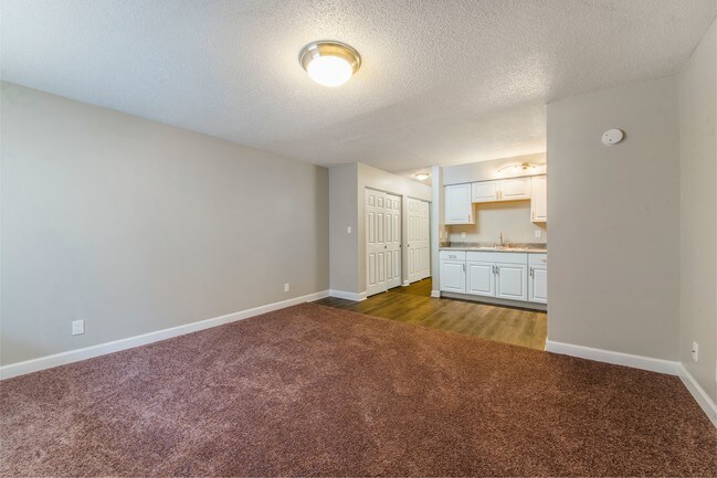 Renovated Studio