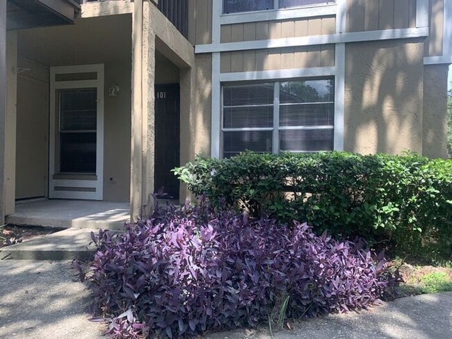 Photo - WATER AND GARBAGE INCLUDED - CLOSE TO USF Unit APT 101