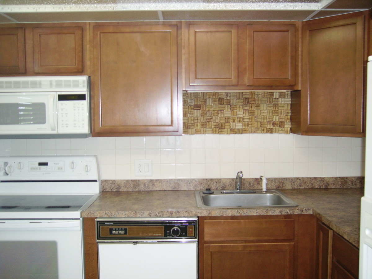 new kitchen - 1055 Country Club Dr Condo