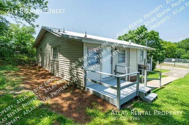 Photo - 213 Blount St