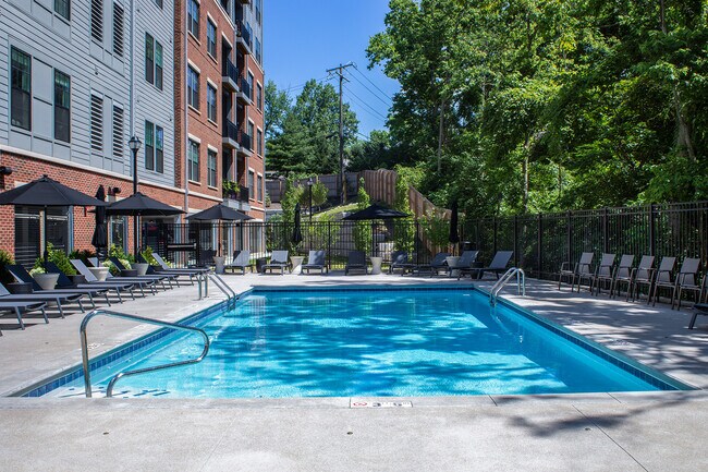 Oasis-Style Swimming Pool | Apartments in Cincinnati, OH | The residences at M