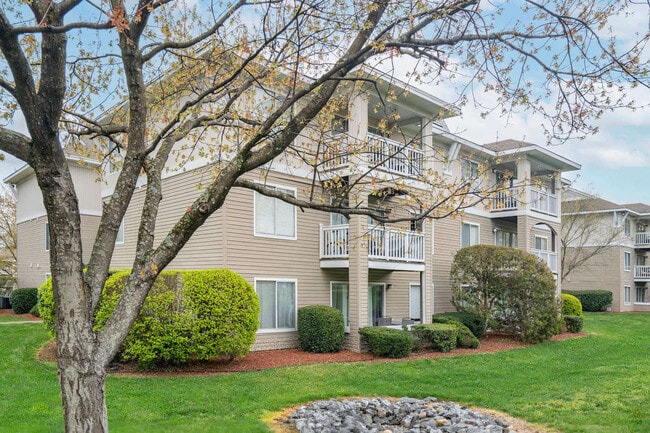 Photo - University Terrace North