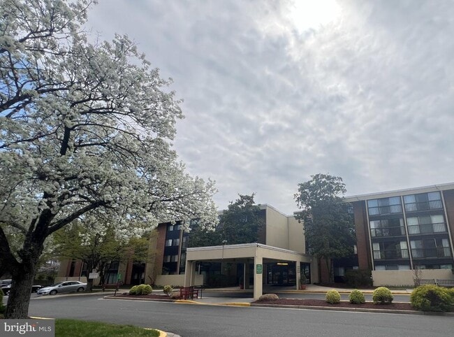 Building Photo - 2921 N Leisure World Blvd Unit 1-301