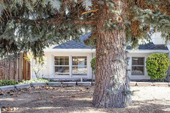 Photo - Custom home in Southwest Reno, 3 Bedrooms, 2 Bathrooms, Large Garage