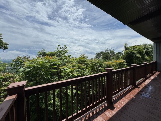 Photo - Central AVL - It's all about the view!!!