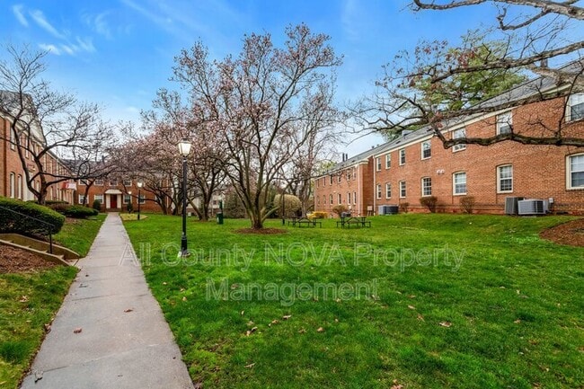 Photo - 2405 Arlington Blvd Unit #101