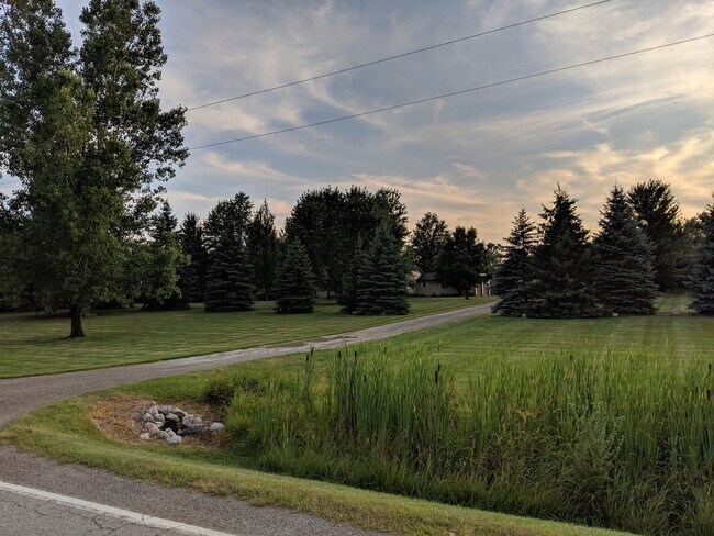 Front yard - 1766 Hasler Lake Rd