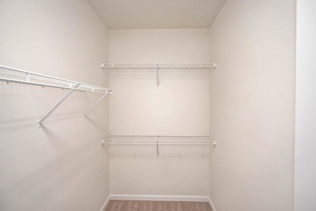 Main Closet