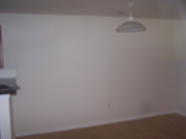 11 Fuller Cir