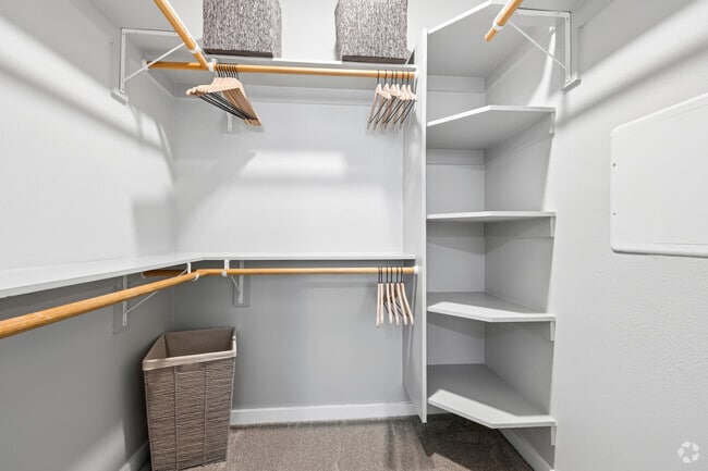 Tide Model - 1BR, 1BA - 761SF - Walk In Closet