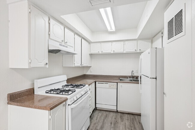 1BR, 1BA - 800SF - Kitchen