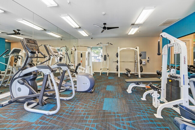 Gym 1