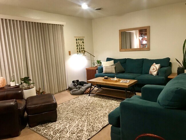 River Street - River Street Apartment Unit 221 River St - 2br