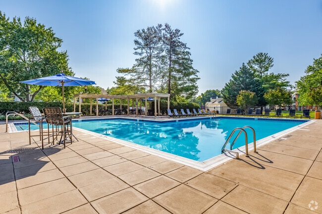 Pool & Patio
