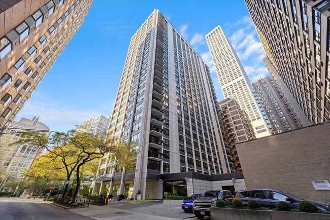 Building Photo - 222 E Pearson St Unit 1507