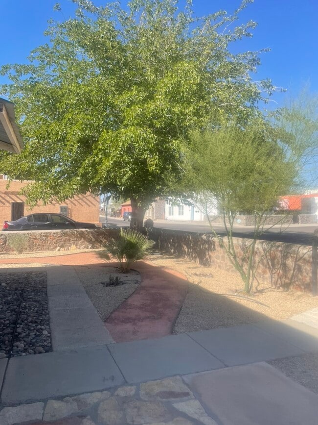 Landscaped yard - 306 S San Pedro St