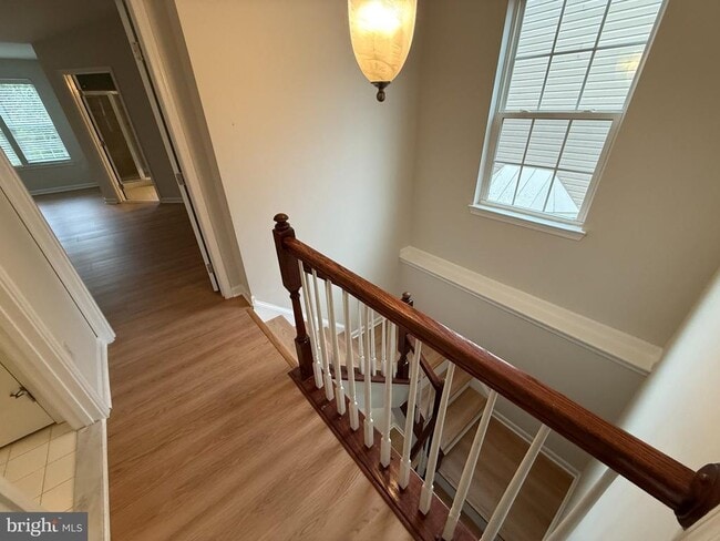 7234 Maidstone Pl