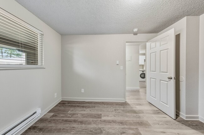 Photo - Whispering Firs