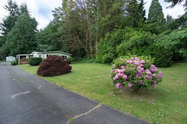 Photo - 11811 SE 184th St