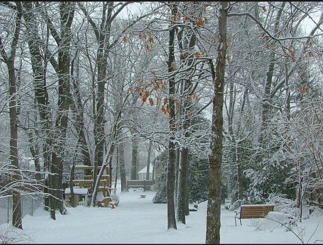 Photo - 545 Old Stage Rd