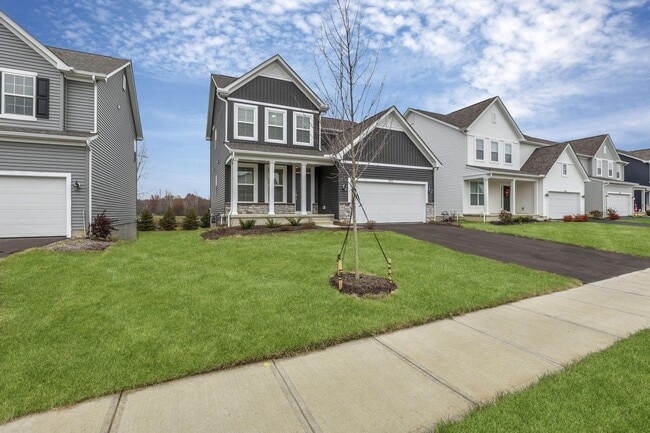 Photo - 3832 Old Glory Lp