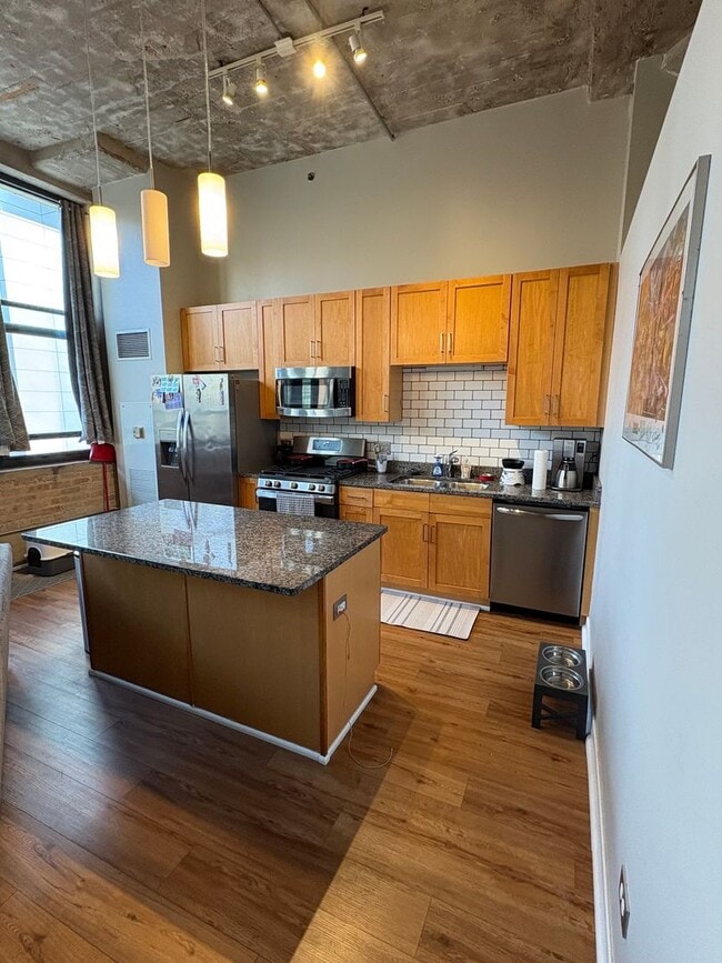 Photo - Includes a parking space! South Loop Chicago 1 Bed 1 Bath Apartment