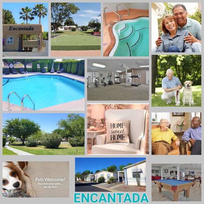 Love Where You Live! - Desert Gardens Apartments