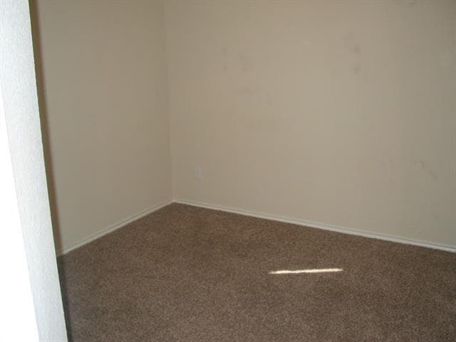 14013 Firebush Ln
