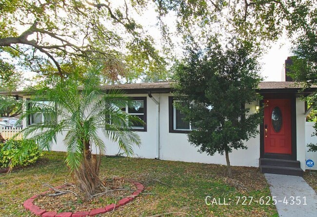 Charming Renovated Tampa Home with Fully F... - Charming Renovated Tampa Home with Fully F...