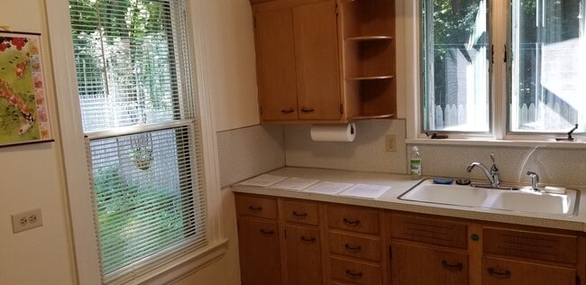 kitchen cabinet - 336 Field St