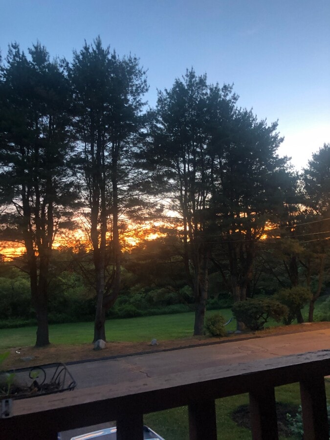 View from front deck - 20 Toria Heights Rd Condo