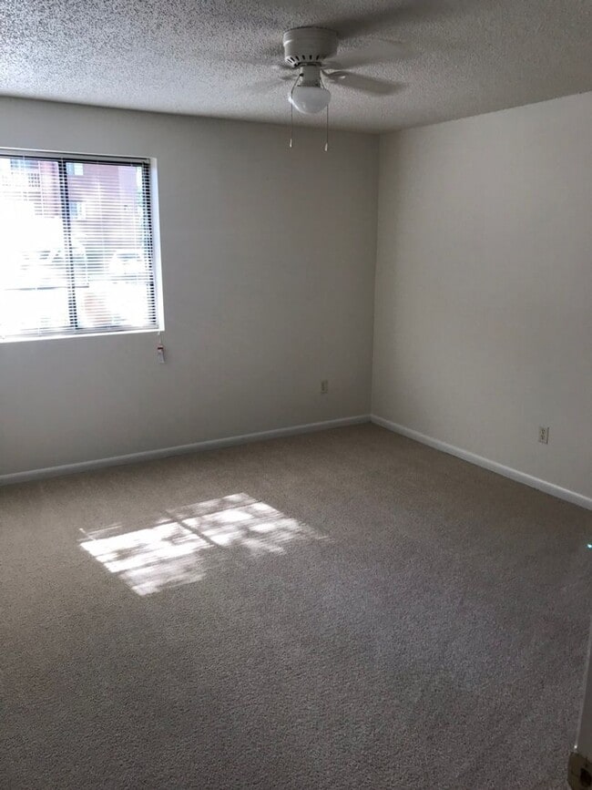 Photo - Great 1BR/1BA Unit in Turtle Creek! Unit 4