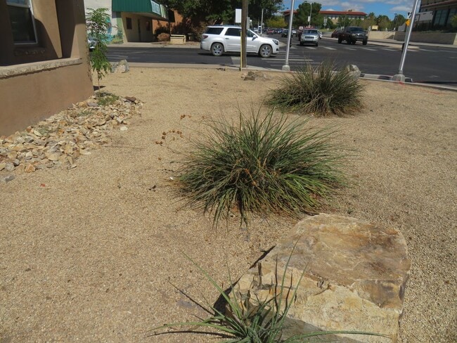 Photo - Clean 2 Bedrooms 1 Bath Close to NMSU