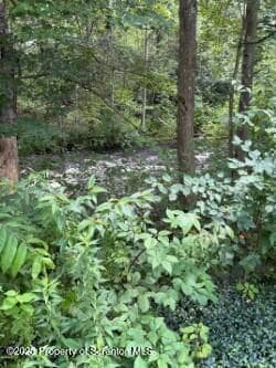 Photo - 35 Keystone Rd