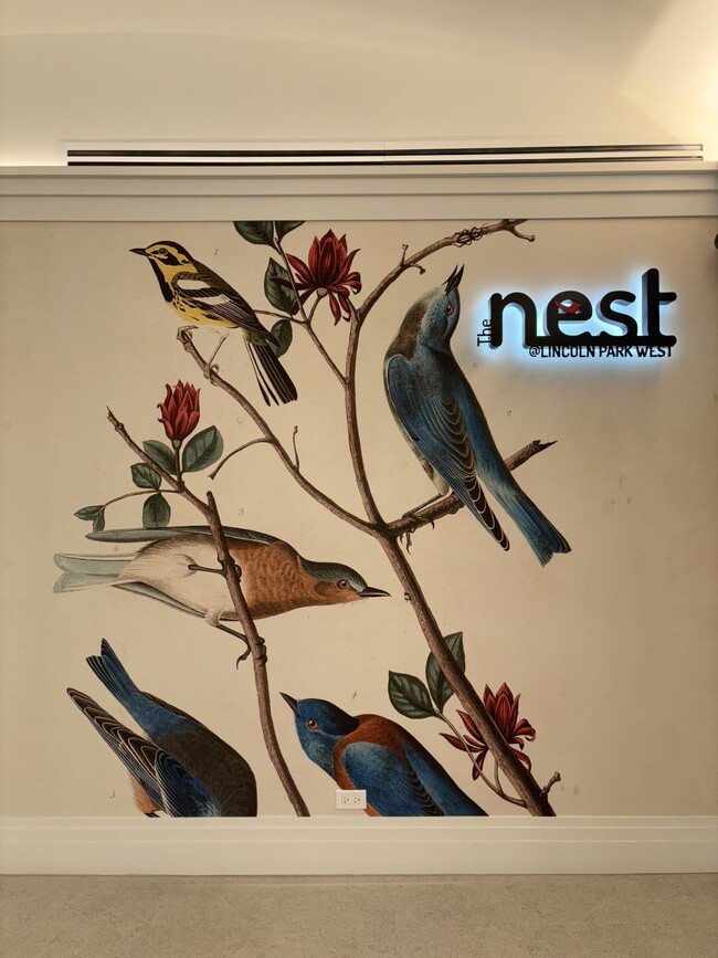 The Nest at 2140 N Lincoln Park W - The Nest at 2140 N Lincoln Park W Apartments