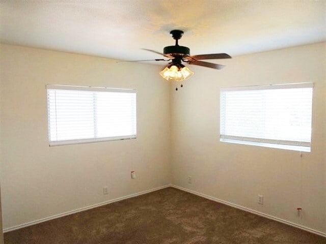 Photo - 142 Blue Juniper