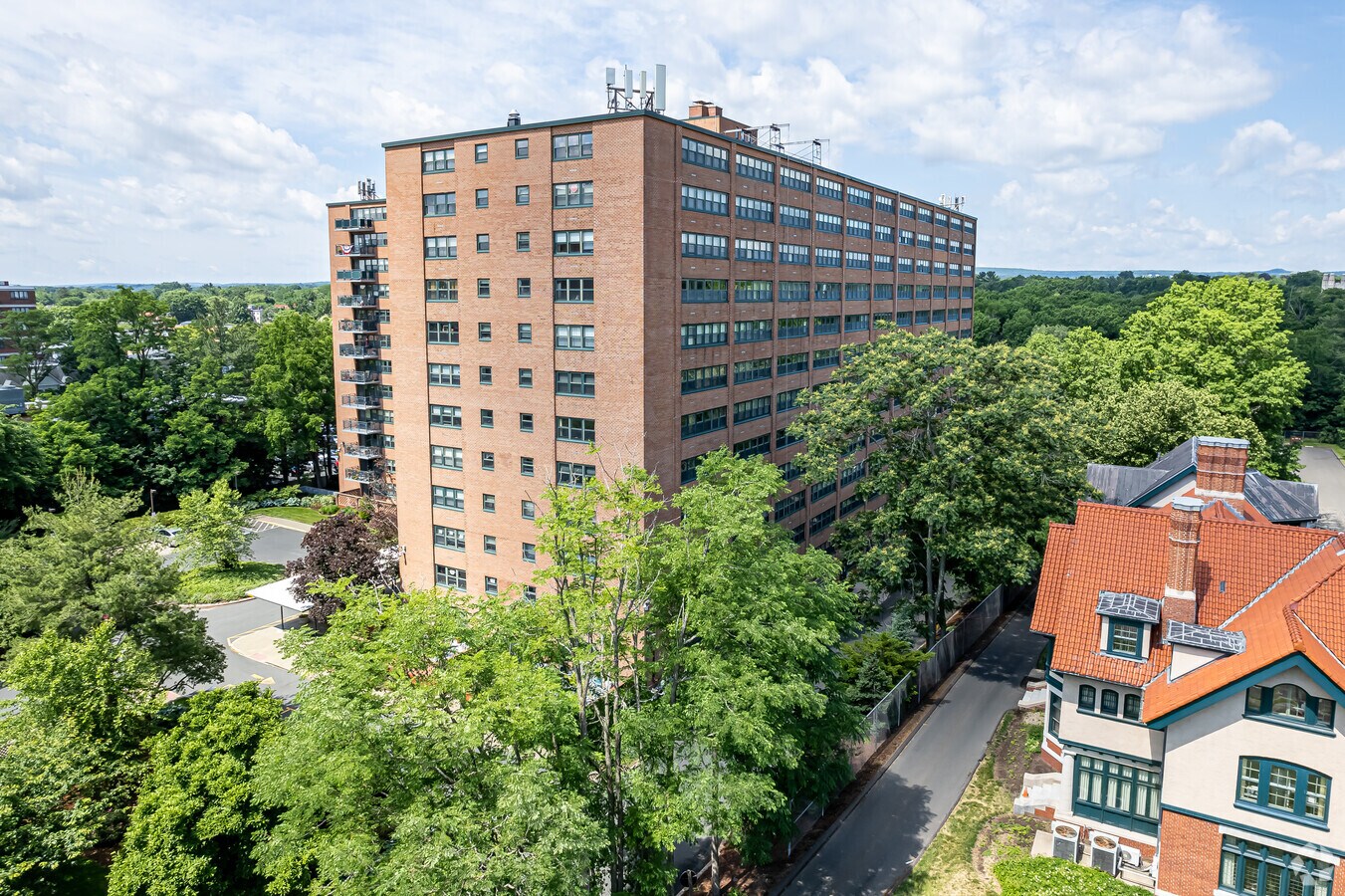 Photo - The Woodland