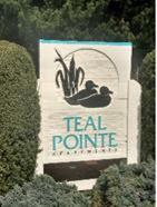 Teal Pointe - Teal Pointe Apartments