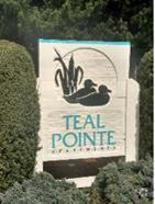 Building Photo - Teal Pointe Rental