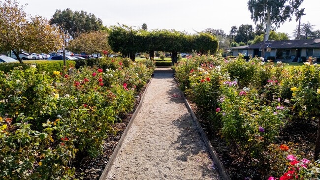 The Grove at Walnut Creek