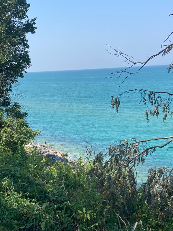 Photo - 1613 Hickory Trace Dr