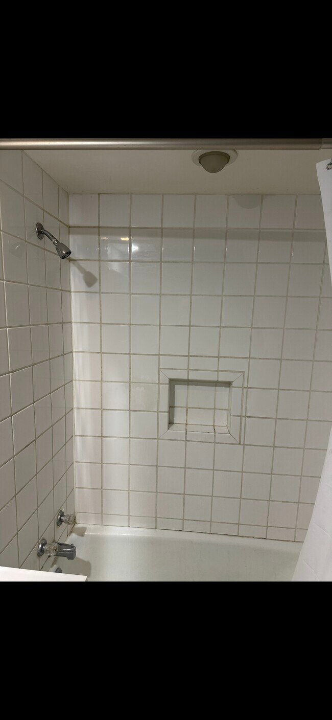 Photo - 1329 7th Ave Unit N