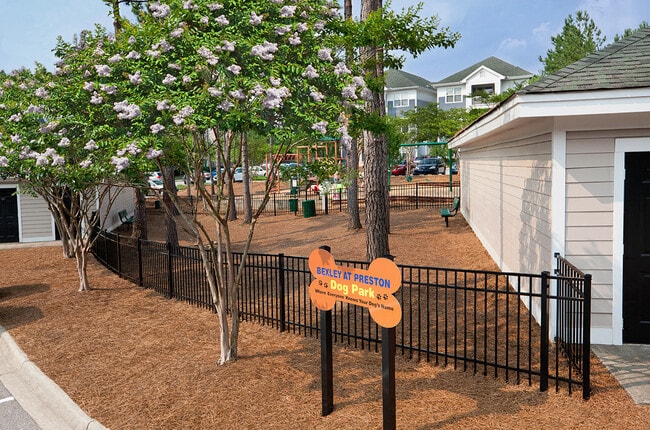 Dog Park
