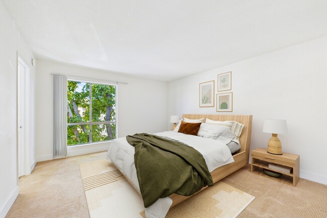 Photo - Willis Park East