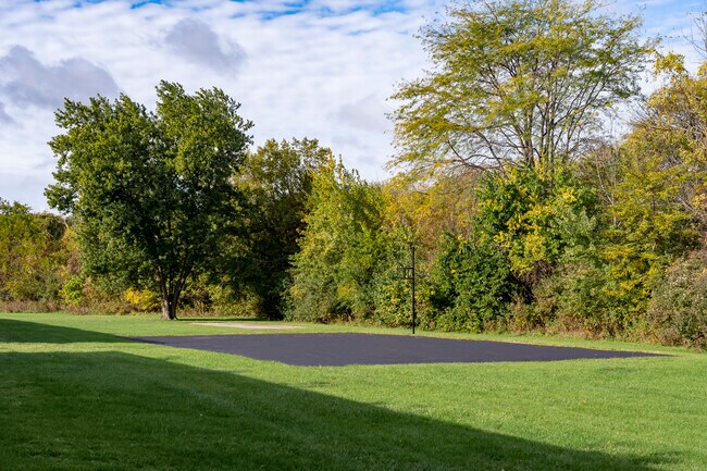 Basketball Court and Greenspace
