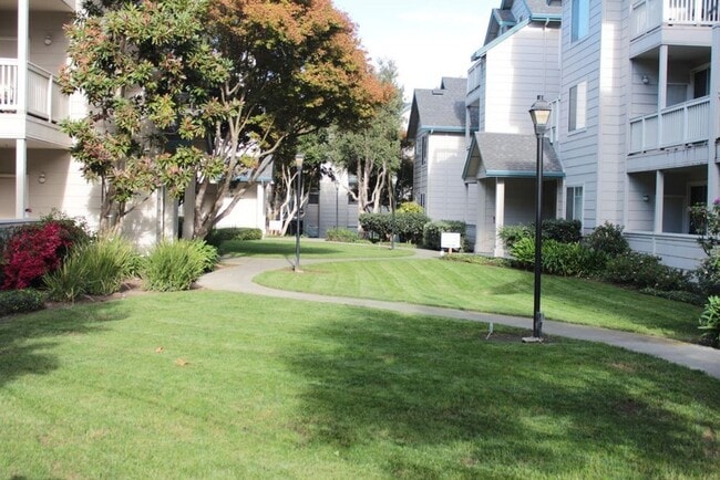 Building Photo - Ideal Location. .. Walk to Bart, Costco, S... Unit #115 Rental