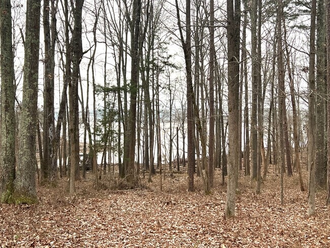 Photo - Furnished & All Inclusive Rental with Lake...